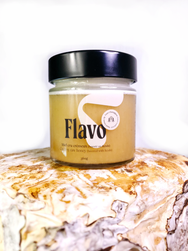 [:en]Flavo honey jar raw creamy honey bosted with real reishi mushroom[:]