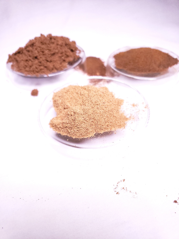 [:en]Lions Mane mushroom powder extract on petri dish[:]